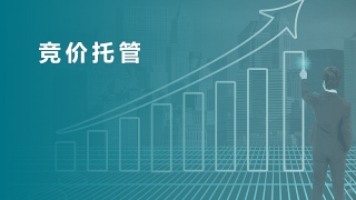 競價(jià)托管